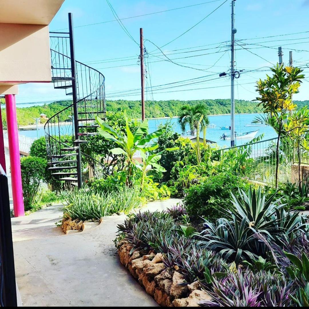 The Seaside Garden Guesthouse Buccoo 외부 사진